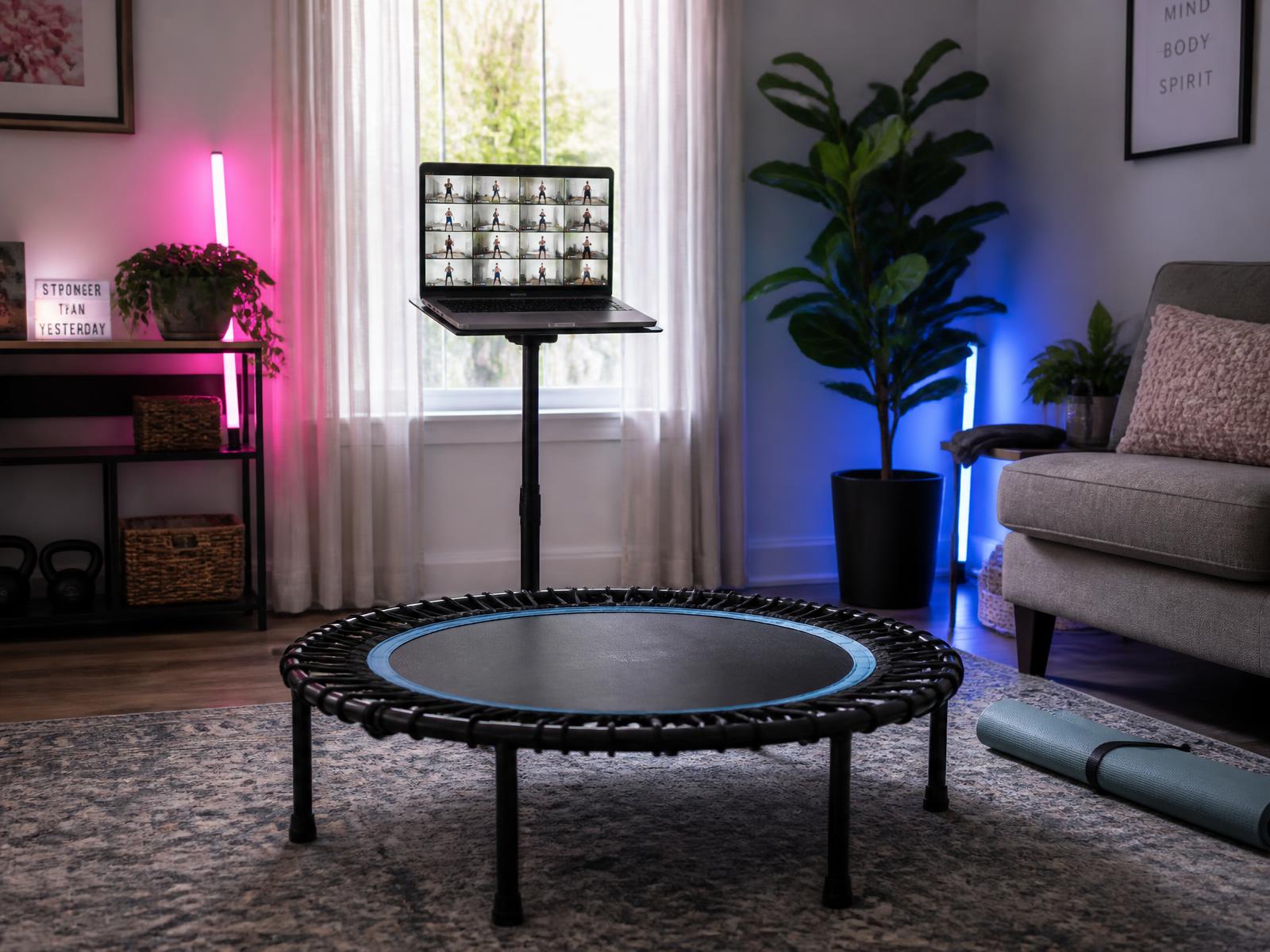 Home setup with a bar rebounder and a bar-free rebounder in front of a laptop showing a live class